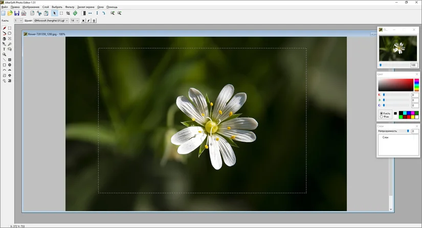 Altarsoft Photo Editor